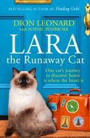 Lara_the_runaway_cat